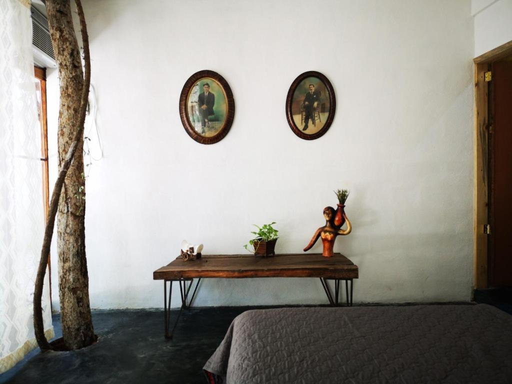 Eco Hôtel capsule *