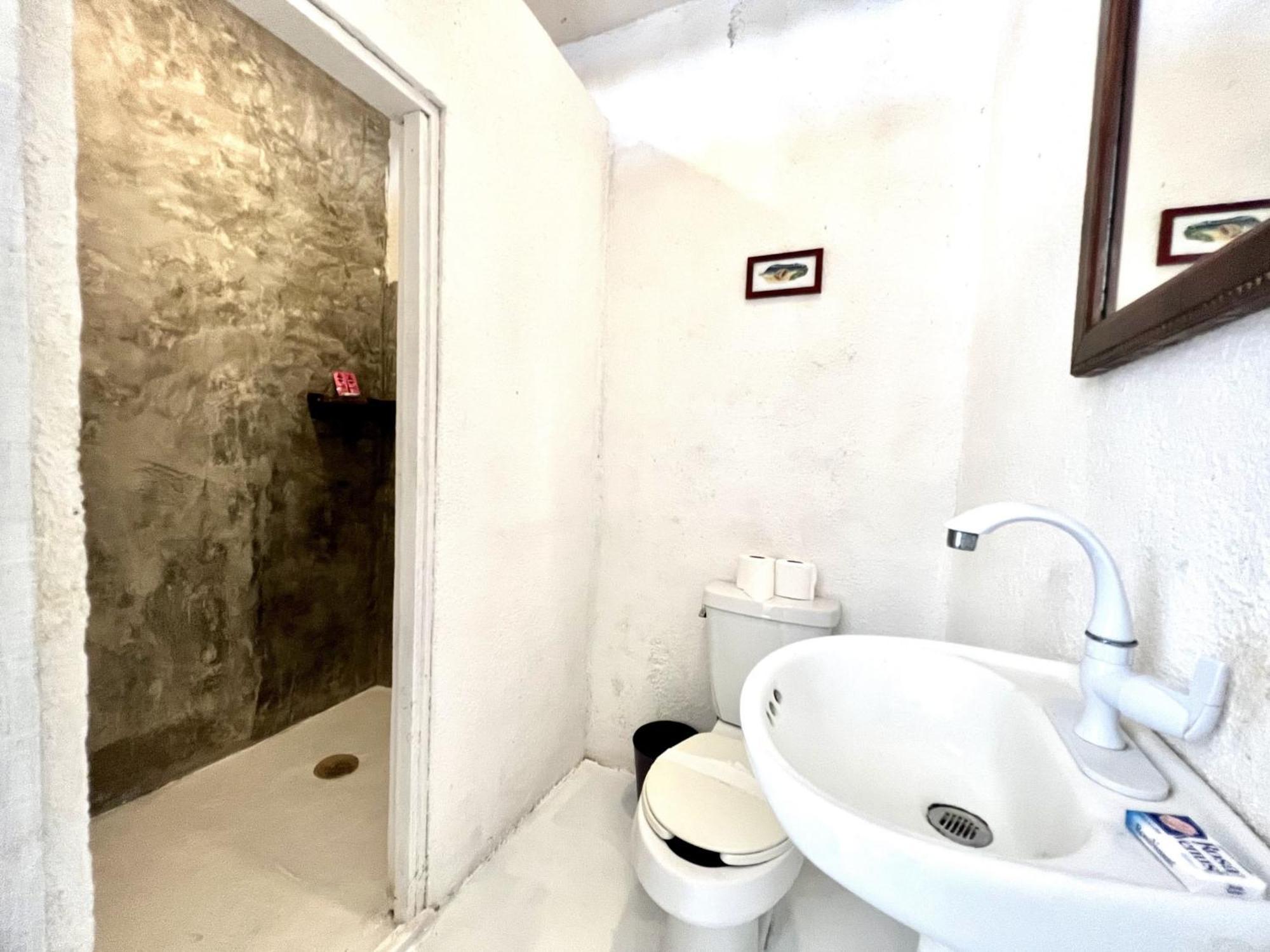 Hôtel capsule Eco Tulum